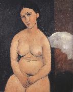 Amedeo Modigliani Seated Nude (mk39) china oil painting artist